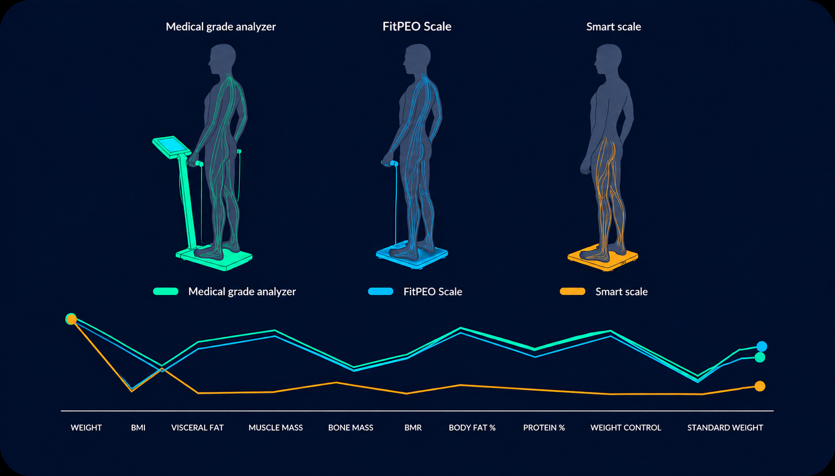 3D body composition: skeletal muscle, fat distribution and bone mass with progress trends
